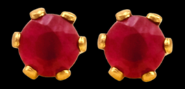 Surgical Stainless Steel Genuine Ruby Design Stud Earring
